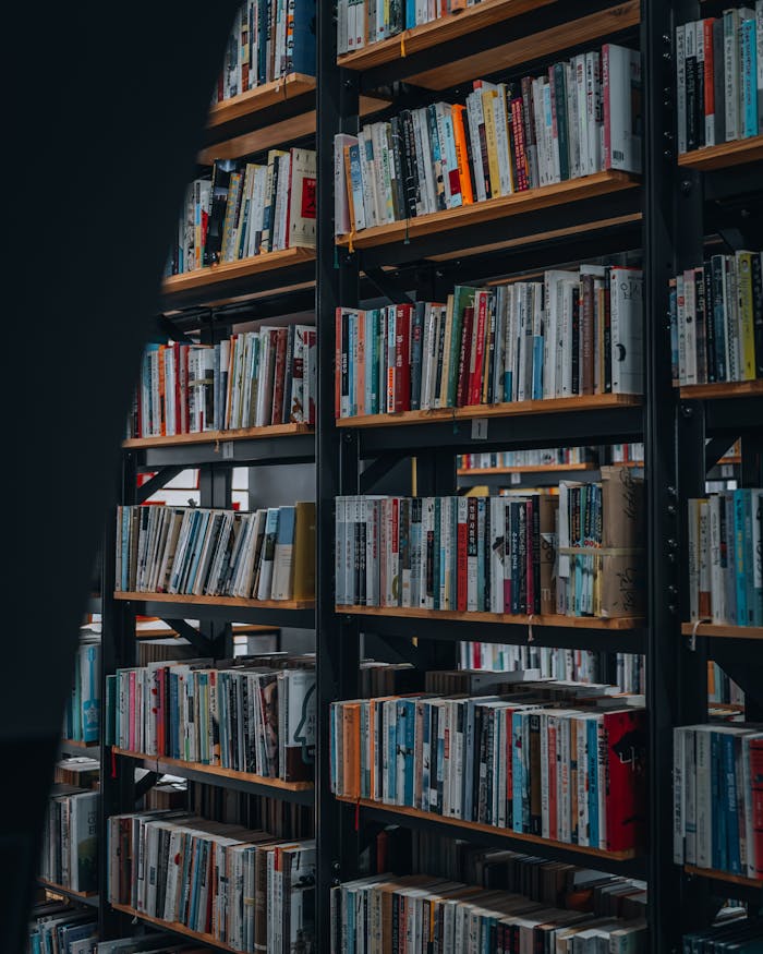 Cozy library interior featuring organized bookshelves full of diverse books in Seoul, South Korea.
